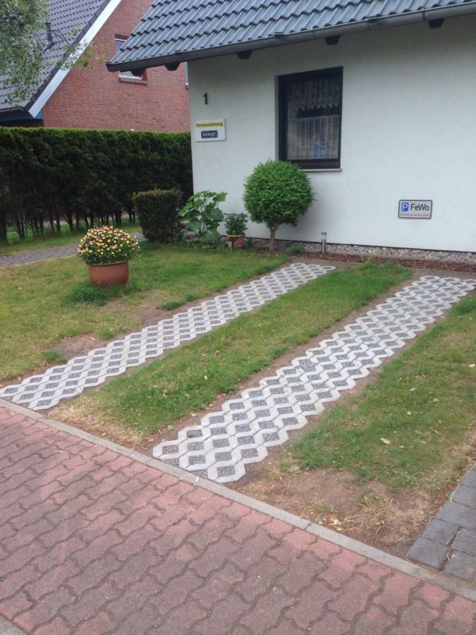 Boddenzander * Dändorf