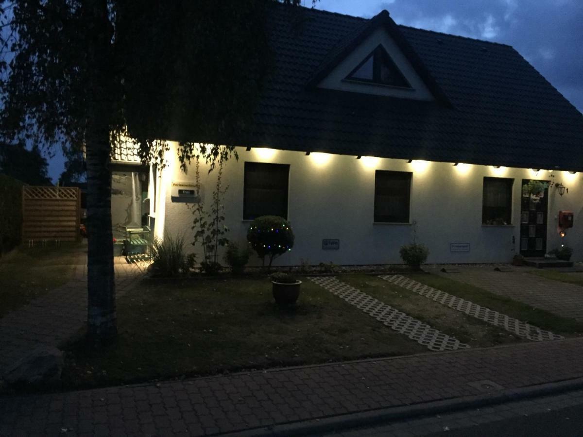 Boddenzander *